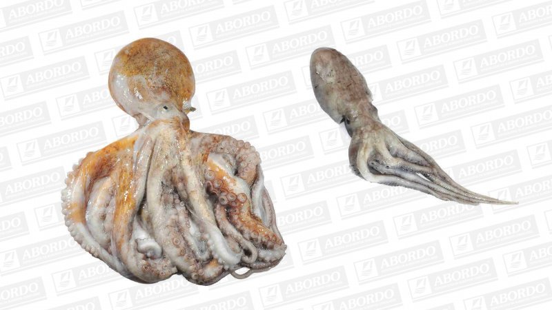 Pulpo Blanco  (500 g/pza.)