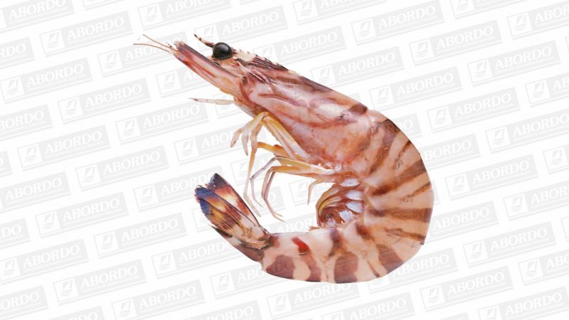 Langostino Pequeño Salvaje (Huelva) (70/100 pzas./kg)